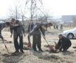 Claudiu Niculescu a dat tonul la plantarea copacilor