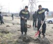Claudiu Niculescu a dat tonul la plantarea copacilor