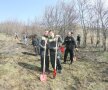 Claudiu Niculescu a dat tonul la plantarea copacilor