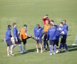 Steliştii au efectuat astăzi o şedinţă de pregătire foto: Cristi Preda