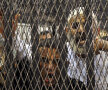 Protestul din cuşti! » Acuzaţii pentru uciderea celor 74 de fani ai lui Al Ahly au blocat procesul