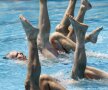 Canada și SUA
au competiții
importante de
înot sincron
masculin