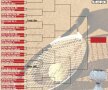 Acum poate începe! » S-a efectuat tragerea la sorţi a tablourilor principale de la BRD Năstase Ţiriac Trophy