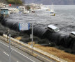 Valurile de 10 metri declanșate de cutremurul din 2011 au măturat coasta de est a Japoniei, ducînd în apele oceanului și două baloane