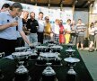 Profesioniştii au concertat la Pianu
