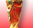 Trofeul Cupei Mondiale