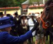 Pălării extravagante, culori
puternice. Și cursa de cai de la Royal
Ascot. Toate atît de caracteristice
pentru Elisabeta a II-a