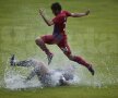 FOTO Steaua - Torpedo Kutaisi 1-1 » Steaua lui Reghe e pregătită doar pentru o repriză