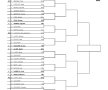 Arad Challenger 2012 – Tabloul principal de simplu