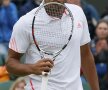 Tsonga consolează un arbitru de linie (foto: Reuters)