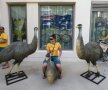 Pasărea emu a "zburat" la Londra
Sportivele australiene au găsit păsări emu plantate în faţa locuinţelor din Satul Olimpic. Să se simtă ca acasă