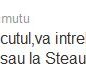 Nici Dinamo, nici Steaua! » Ăsta e singurul tricou care contează pentru Mutu!