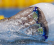Peştele. Sun Yang, chinezul de la 1.500 m liber, e parte din apa în care se simte atît de bine