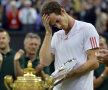 Finalele majore pierdute de Murray: WIMBLEDON 2012