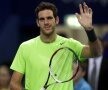 Juan Martín Del Potro ocupă locul 8 în clasamentul mondial