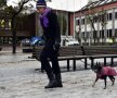 Localnicii s-au
bucurat de
zăpadă: și-au
îmbrăcat și cățeii
ca să-i plimbe
