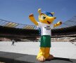 Fuleco este mascota Campionatului Mondial din Brazilia