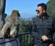 Stăncioiu
într-un
“dialog” cu
un macac Foto: Cristi Preda