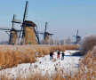 Patru patinatori se bucură de gheaţa naturală lîngă Rotterdam, lîngă ansamblul de mori de vînt de la  Kinderdijk, intrate în patrimoniul UNESCO (foto: reuters)