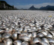 foto: reuters