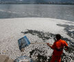 foto: reuters