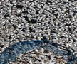 foto: reuters