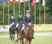 Transylvania Horse Show - Pregătirile pentru Campionatele Balcanice au intrat în linie dreaptă