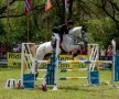 Transylvania Horse Show - Pregătirile pentru Campionatele Balcanice au intrat în linie dreaptă
