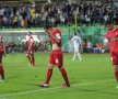 VIDEO+FOTO 7 la rînd » Vasluiul îngenunchează din nou Dinamo, 4-1, şi Europa mai e doar un vis pentru "cîini"