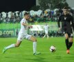 VIDEO+FOTO Din nou Celeban » Stoperul polonez a adus victoria Vasluiului cu ACS Poli, 1-0