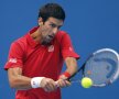 Novak Djokovici, foto: reuters