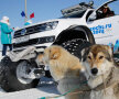 VIDEO & FOTO Volkswagen a construit 3 "bestii" cu care a traversat Siberia şi a promovat Olimpiada de la Soci