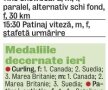 Finala miturilor » Canada şi Suedia luptă pentru aur în finala de hochei pe gheaţă