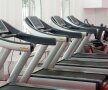 Galerie foto » CS Dinamo inaugurează o sală ultramodernă de fitness