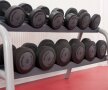 Galerie foto » CS Dinamo inaugurează o sală ultramodernă de fitness
