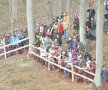Publicul a urmărit competiţia din pădurea în care nu mai era nici un pic de zăpadă
