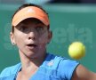 Simona Halep a cîştigat cel de-al doilea meci, contra Bojanei Jovanovski, 6-2, 6-4 Foto: Cristi Preda