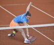 Simona Halep a venit la fileu pentru a recupera o minge