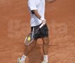 Victor Hănescu a fost eliminat în turul al doilea la BRD Năstase-Ţiriac Trophy Foto: Raed Krishan
