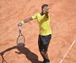 Gael Monfils a abandonat meciul cu Grigor Dimitrov din cauza unei accidentări. Bulgarul va juca finala la BRD Năstase-Ţiriac Trophy Foto: Raed Krishan