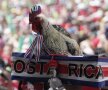 DACĂ NU MAI AVEŢI JUCĂRII DE PLUŞ... puteţi să luaţi un cocoş din ograda unor rude la ţară, aşa cum au făcut aceşti fani costaricani