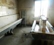 Băile și toaletele arată groaznic Foto: expressdebanat.ro