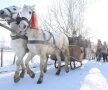 FOTO Urat şi plimbat cu sania! » Preşedintele Cornel Şfaiţer a fost sorcovit de întreaga localitate natală