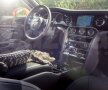 FOTO În gura aligatorilor » Britanicii de la TopGear au dus un Bentley în ţinutul mlăştinos al Floridei