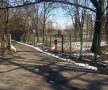 Curtea de Apel Bucureşti decide mîine la ora 12:00 dacă bucureştenii recuperează 7 hectare din Parcul Herăstrău!