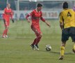 VIDEO + FOTO FC Braşov - Dinamo 1-0 » "Cîinii" ajung la a doua înfrîngere consecutivă fără gol marcat