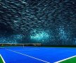 GALERIE FOTO Invovația începutului de secol » Imagini incredibile: unde se va juca tenis în Dubai