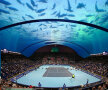 GALERIE FOTO Invovația începutului de secol » Imagini incredibile: unde se va juca tenis în Dubai