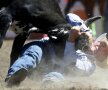 S-a luat la trîntă cu taurul într-un concurs inedit de rodeo în Canada! foto: reuters