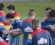 FOTO Veste bună pentru Iordănescu: 100% apţi! Toţi "tricolorii" s-au antrenat normal 